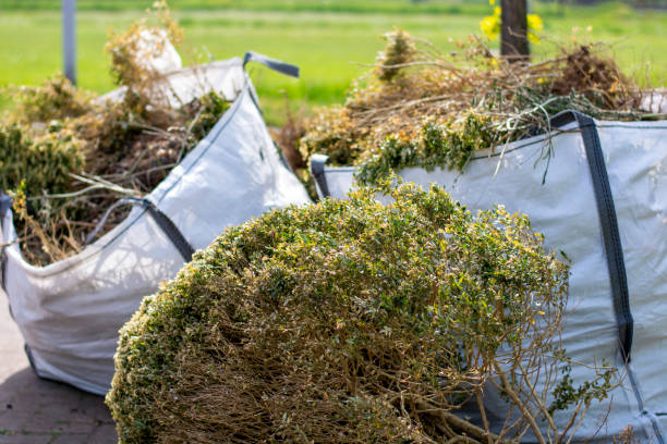 Demolition Debris Removal in Champlin, MN